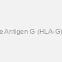 Leukocyte Antigen G (HLA-G) Antibody